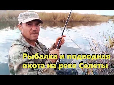 Видео: Рыбалка и подводная охота на Селеты