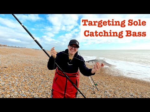 Видео: Нацеливание на морского языка, ловля окуня