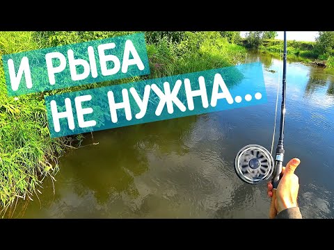 Видео: Кайфую с инерционной катушкой на милой речушке. Инерционная катушка Нельма.