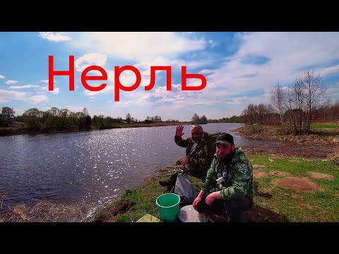 Видео: Рыбалка На НЕРЛИ. Открыл СЕЗОН. Клев Как Из ПУЛЕМЕТА. Леща Опять Не Поймал