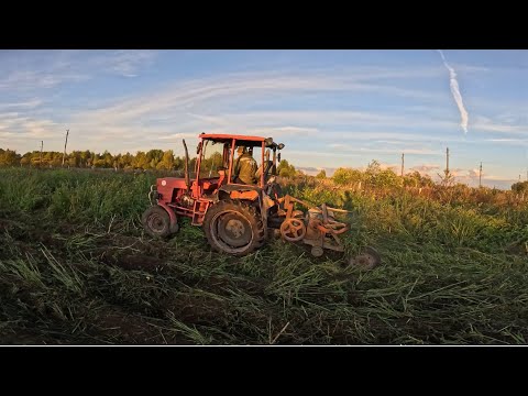 Видео: Трактор Т-25 ищет картошку в высокой траве!