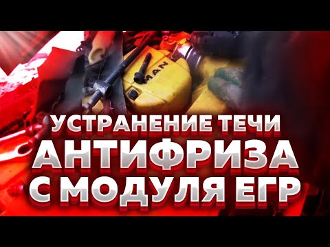 Видео: Ремонт МАН тга. Устранение течи антифриза с модуля ЕГР #ремонт #механик #ман #мантга