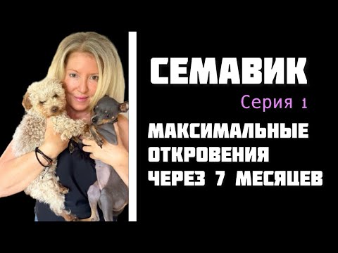 Видео: 15.1. СЕМАВИК - 7 месяцев и 26 кг. Негативные проявления. Откровения из личной жизни и много слез