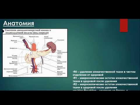 Видео: Кудашкина А.С. «МРТ в оценке резектабельности рака поджелудочной железы»
