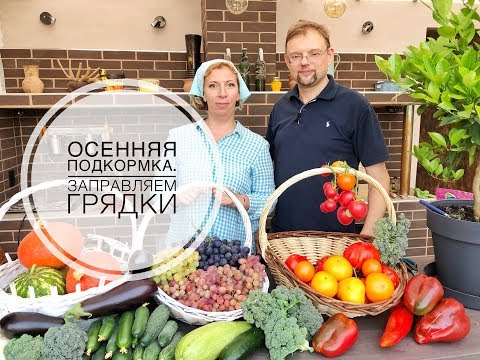 Видео: Осенние подкормки сада. Заправляем грядки. Дачные сезоны с Мариной Рыкалиной