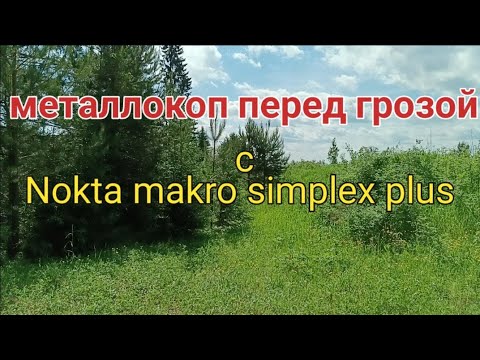 Видео: Металлокоп перед ГРОЗОЙ с #Nokta makro simplex plus