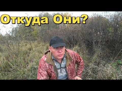 Видео: Все Поле было в толстой, черной керамике.
