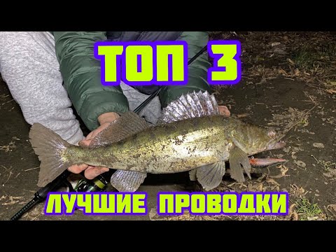 Видео: ТОП 3 ЛУЧШИЕ ПРОВОДКИ НА СУДАКА