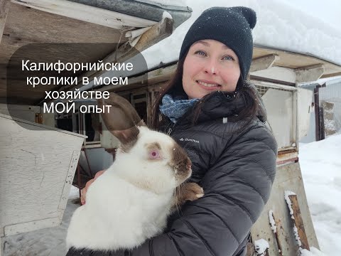 Видео: Калифорнийские кролики в моем хозяйстве / Обзор и характеристика / Опыт содержания.