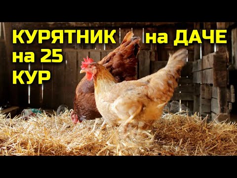 Видео: КРУГЛОГОДИЧНЫЙ курятник на даче на 25 кур с автономностью 30 суток