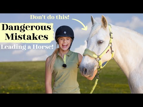 Видео: Опасные ошибки, которых следует избегать при управлении лошадью! | Реклама Эсме