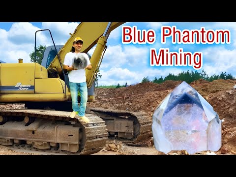 Видео: Великолепные Арканзасские Синие Фантомы находятся