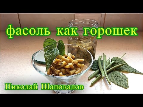 Видео: спаржевая фасоль как горошек, спаржевая фасоль рецепты.