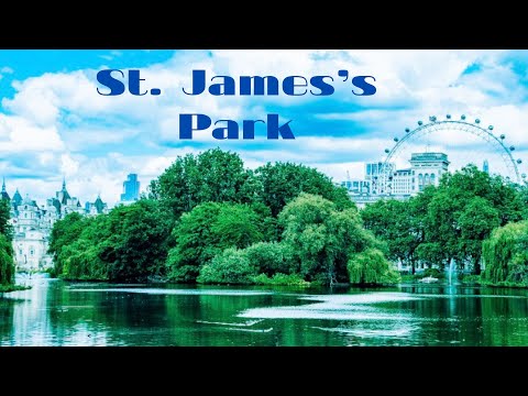 Видео: Одно из самых красивых мест Лондона — волшебная сказочная прогулка по Сент-Джеймс-парку в 4K