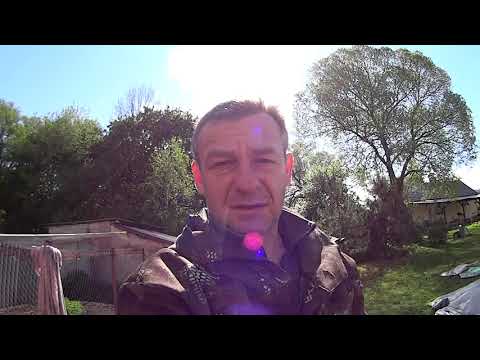 Видео: Заморозок и Табак.