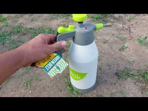 Видео: Подкормка винограда бором.