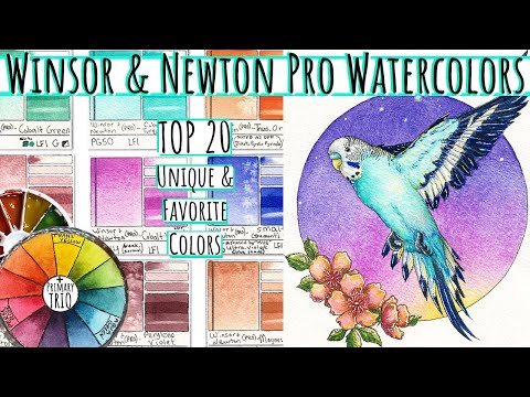 Видео: Обзор 20 лучших профессиональных акварельных красок Winsor and Newton. Карточка 109 точек. Уникал...
