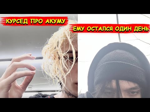 Видео: КУРСЕД ПРО АКУМУ, ВСЯ ПРАВДА