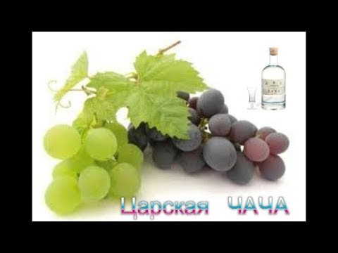 Видео: Царская ЧАЧА - чача из винограда