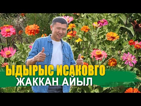 Видео: МАГА ЖАККАН АЙЫЛ ӨКМӨТ II ЫДЫРЫС ИСАКОВ II АЛА-БУКА II