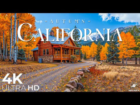 Видео: Калифорния 4K — потрясающая осенняя листва, золотистые холмы и тихие лесные тропы — 4K Ultra HD