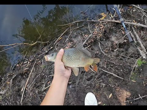 Видео: МЫНА ДИКИЙ ЖЕРДЕ КАРАСЬ ТОЛЫП ЖҮР!!!