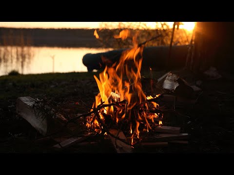 Видео: Фидер - Карпфишинг на дикаре. Мясо с картошкой в казане на костре