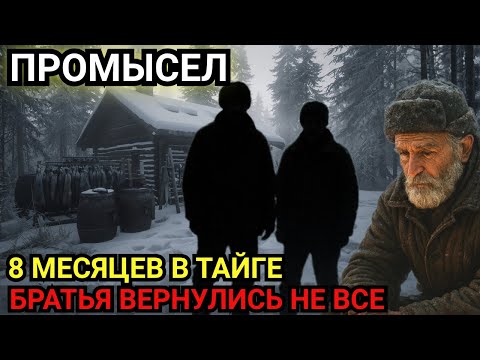 Видео: 8 месяцев в Тайге. Их не смогли забрать — и они ушли пешком через ад