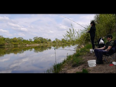 Видео: Рыбалка в мае 2020 на Дону в  Воронежской области. Фидер на течении.