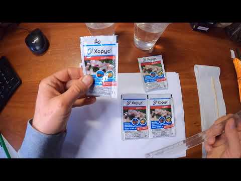 Видео: Хорус ОРИГИНАЛ и НЕ ОРИГИНАЛ — как отличить? Проверяем РАСТВОРЕНИЕ! (Часть 2)