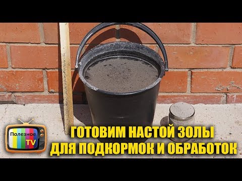 Видео: ГОТОВИМ НАСТОЙ ЗОЛЫ ДЛЯ ПОДКОРМОК И ОБРАБОТОК