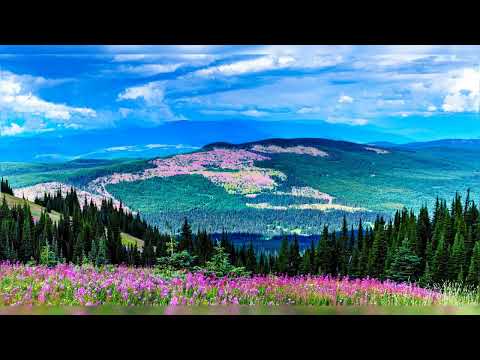 Видео: Айше Доспатска - На мен ли се сърдиш либе ле