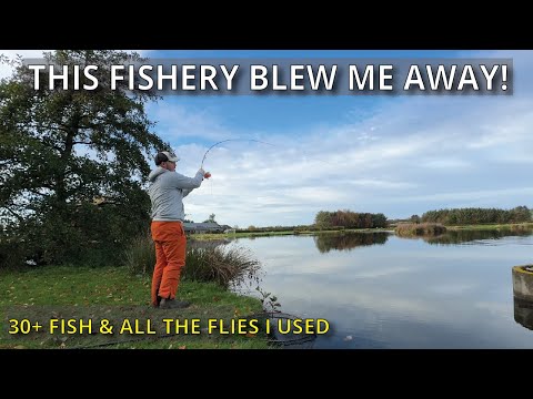 Видео: Это лучшее место для ловли форели в стоячей воде в Великобритании? [Рыбалка нахлыстом в Шотландии]