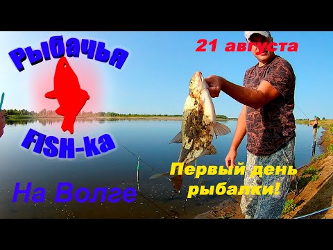 Видео: Рыбалка на Волге! День первый...