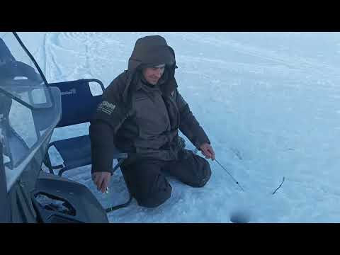 Видео: Камчатка, на зимнюю рыбалку с женой ловить корюшку.