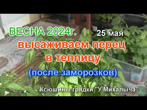 Видео: ВЕСНА  МАЙ.  Начинаем посадочные работы.