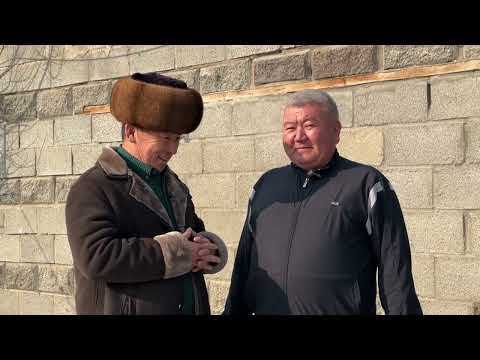 Видео: №4 рубрикасы Белдүү Айгыр Белбулак