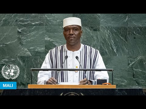 Видео: 🇲🇱 Мали, общие прения, 80-я сессия