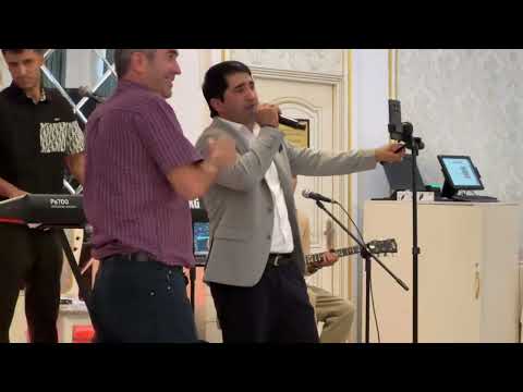 Видео: Туй марко поло 2025