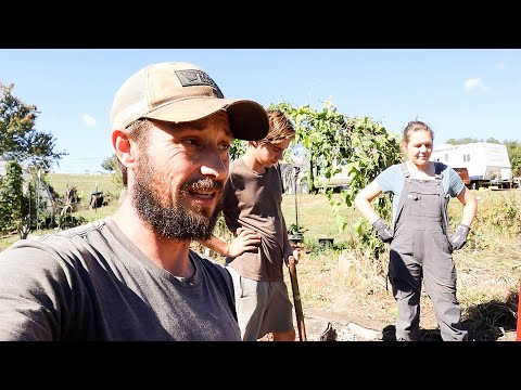 Видео: Мы против крыс