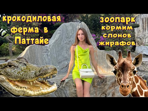 Видео: Паттайя парк. Крокодиловая ферма в Паттайе. Парк миллионолетних камней.Шоу крокодилов | Тайланд