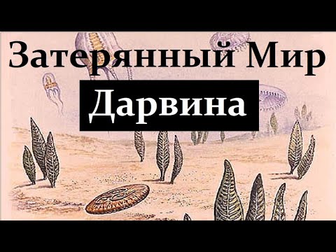 Видео: 🦖🦕 Марков А. Затерянный Мир Дарвина: жизнь в Докембрии. Video ReMastered.