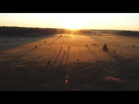 Видео: Летний день сквозь рассвет и закат. 4К