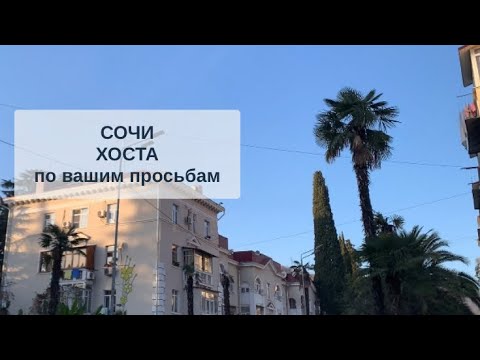 Видео: СОЧИ сегодня / ХОСТА / ул 50 лет СССР / по вашим просьбам