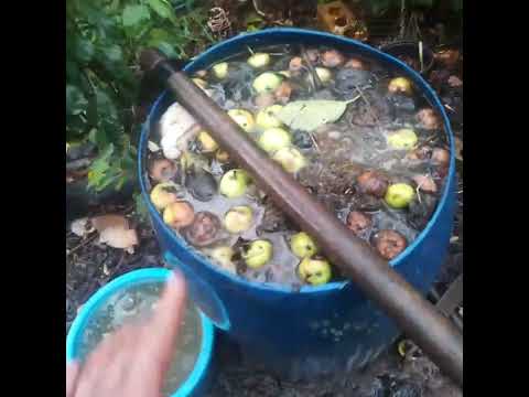 Видео: Новые ингредиенты!