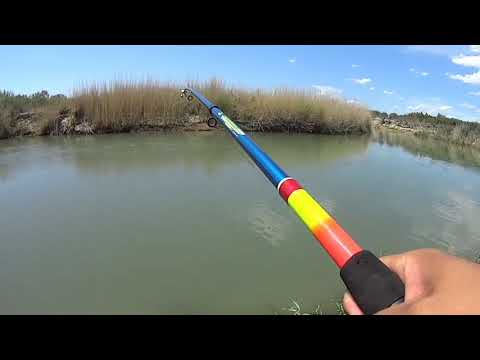 Видео: ОПЯТЬ КРУТАЯ РЫБАЛКА! Рыбалка на р.Или 2019