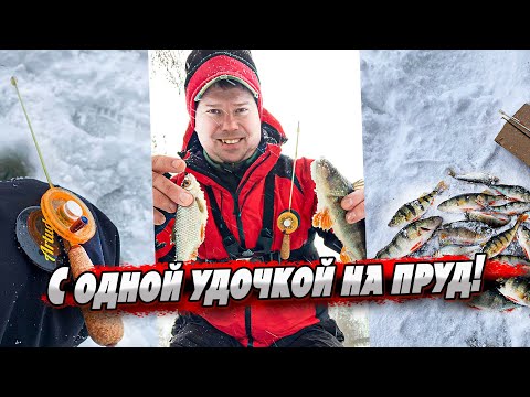 Видео: Как на одну удочку поймать разных рыб? | Рыбалка с Artuda Trio S премиум!