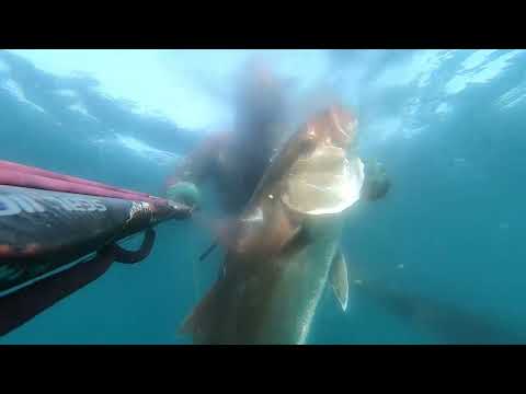 Видео: Ричолата