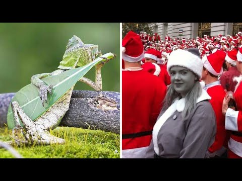 Видео: 60 невозможных фото без использования фотошопа