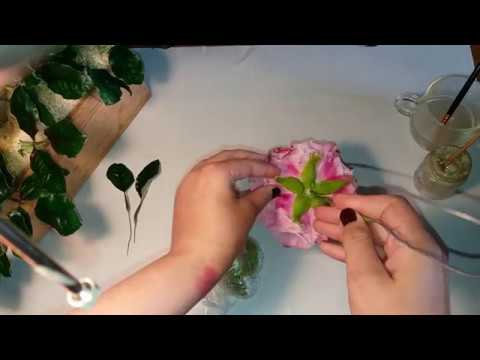 Видео: Сборка,чашелистики,и прочие "зеленые мелочи"